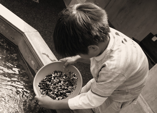 mormon battalion gold panning